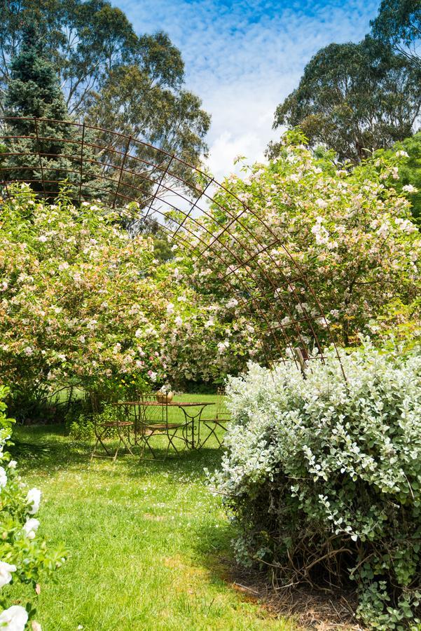 Hollyhock Bed & Breakfast Macedon Eksteriør bilde